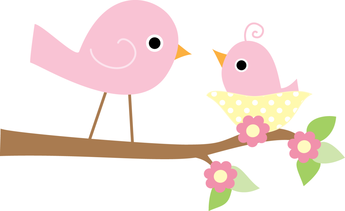 Попугай арты