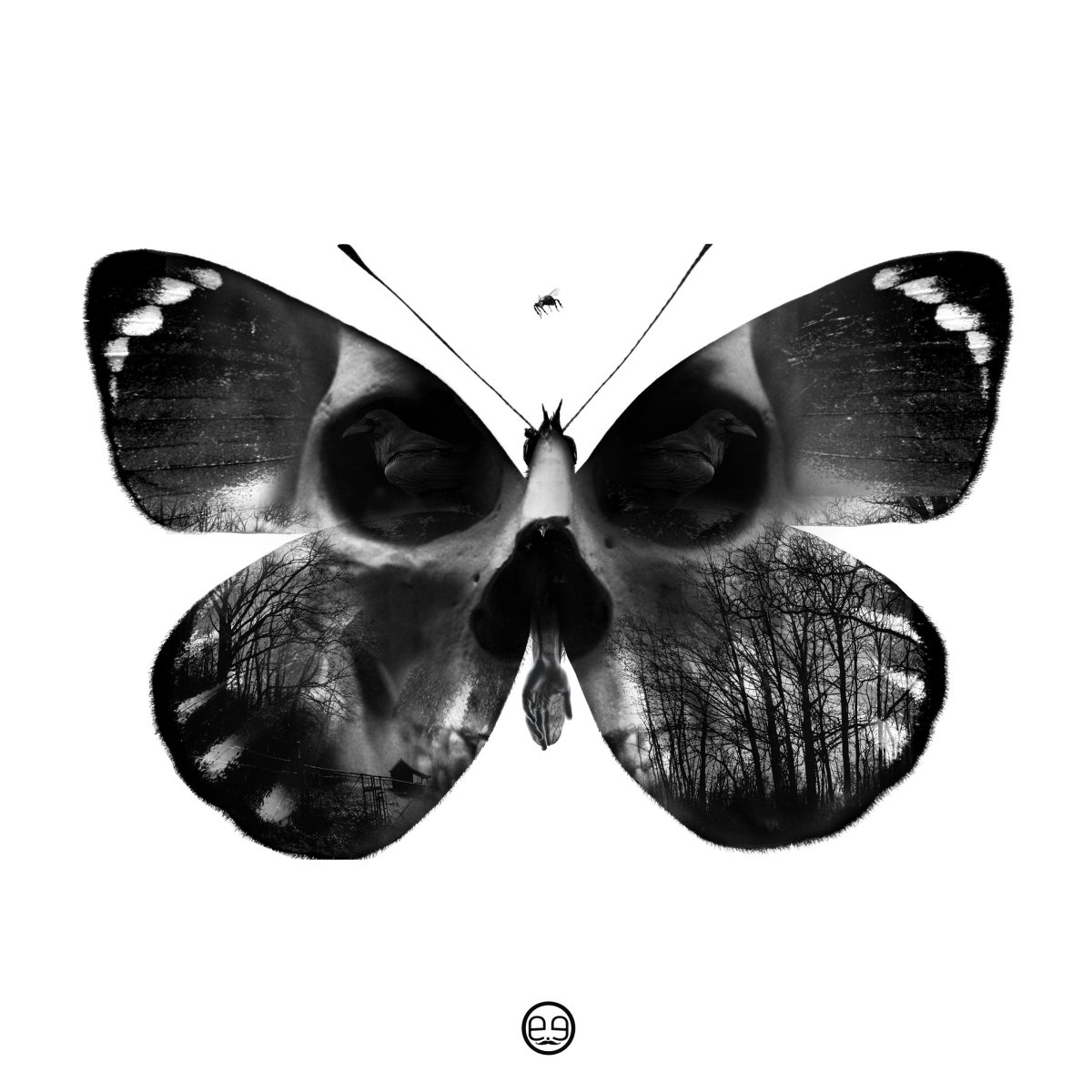 Черная бабочка арт