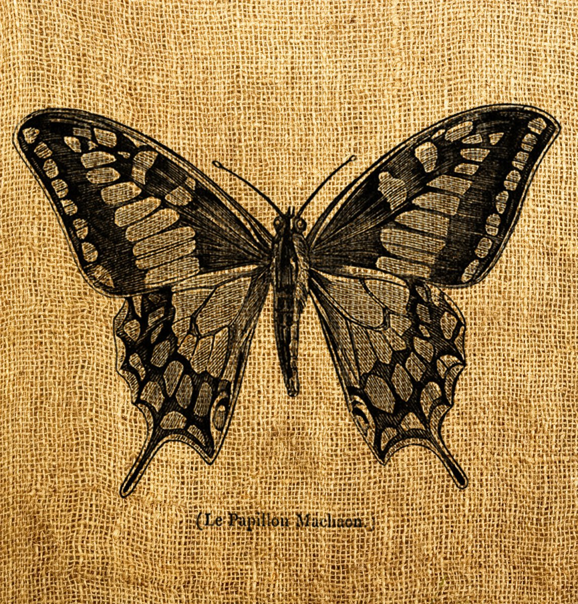 Мотылек Винтаж