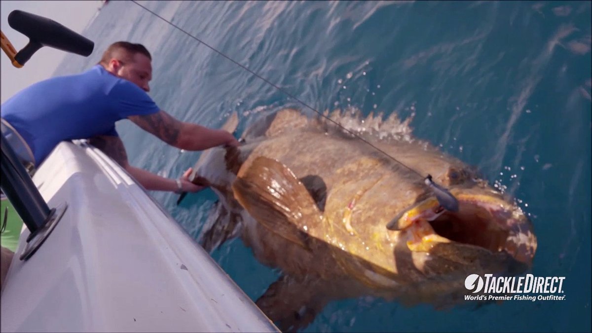 Красноперый опах