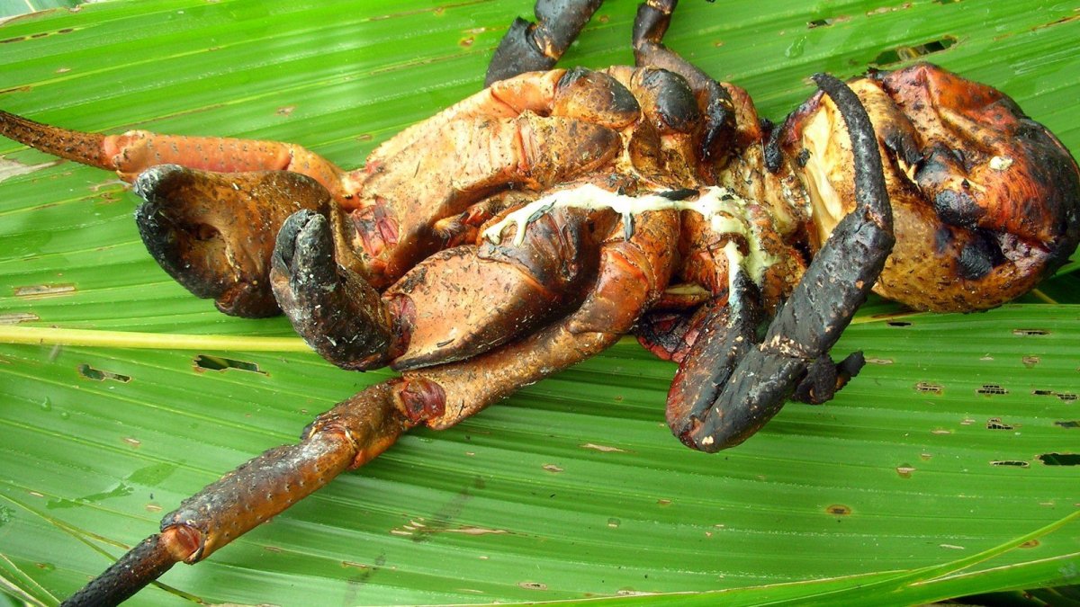 Кокосовый краб блюдо