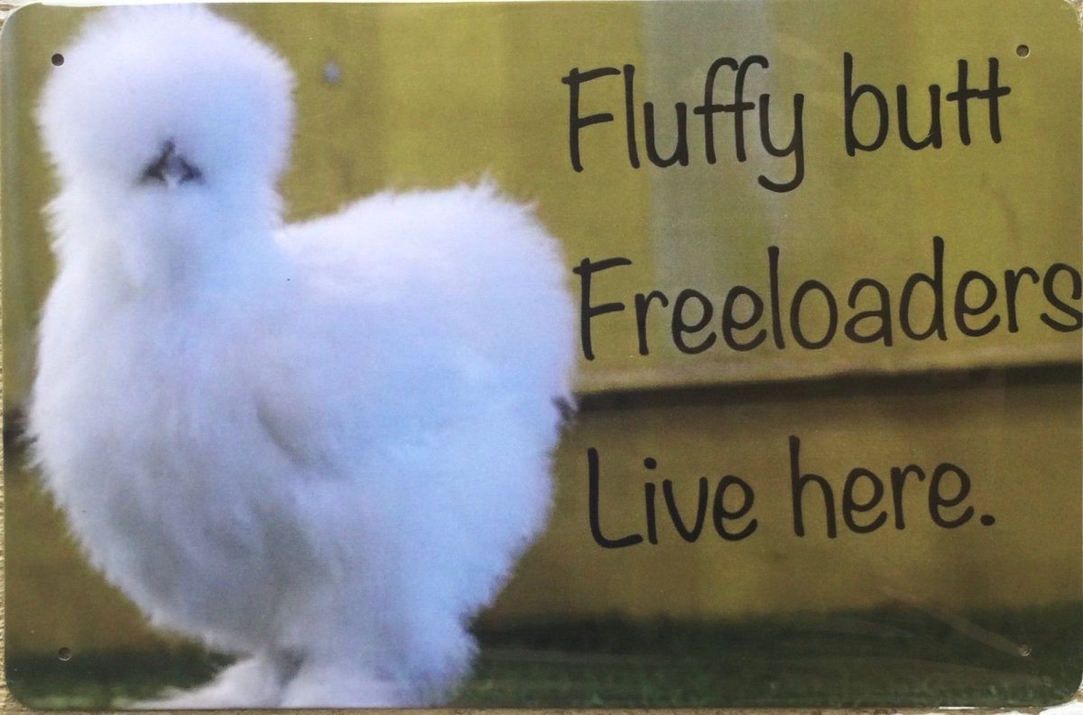 Курятник для китайских шелковых кур