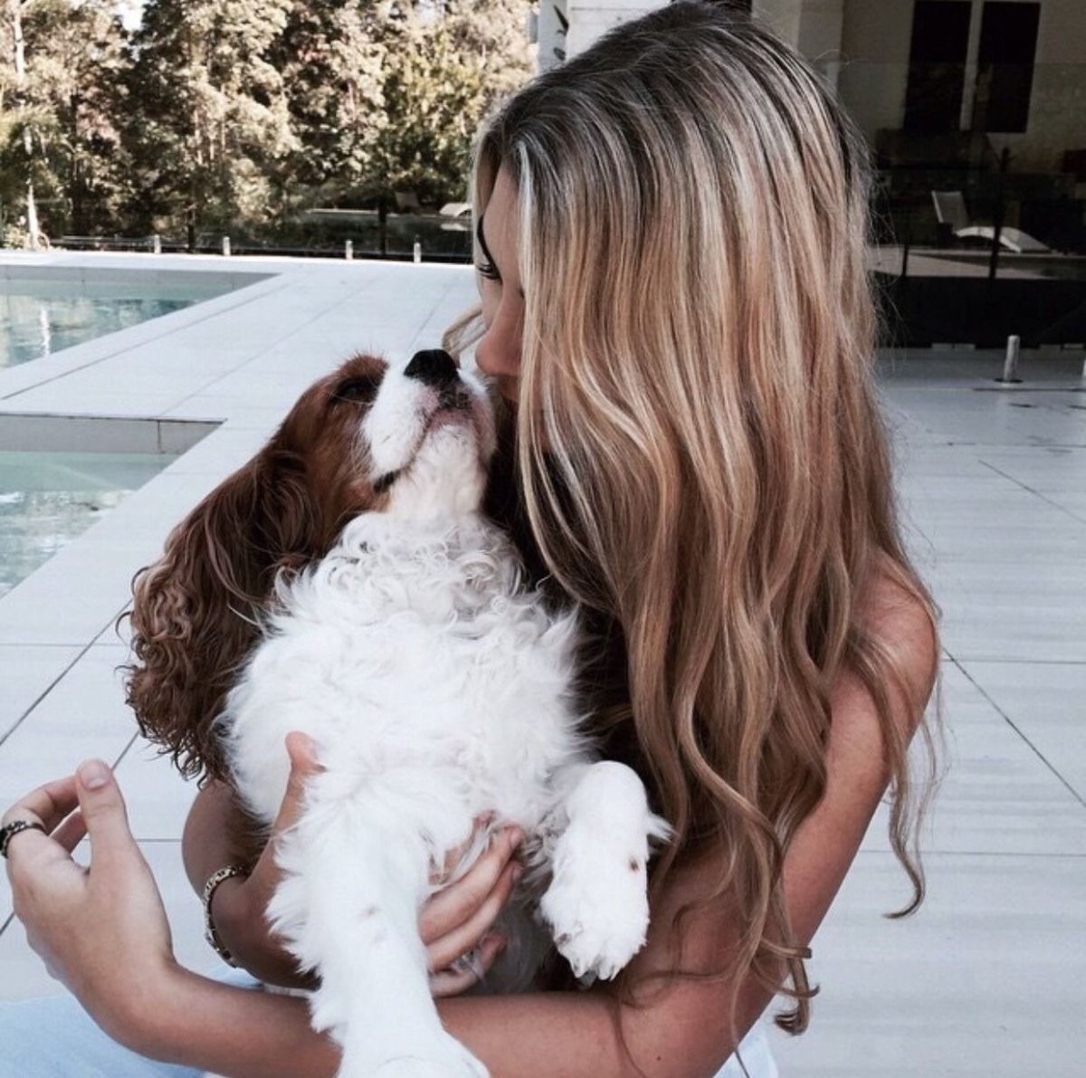 Собака с приплюснутой мордой маленькая