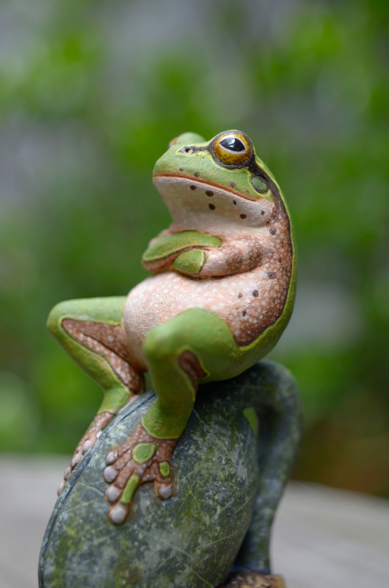 Прикольный Лягушонок