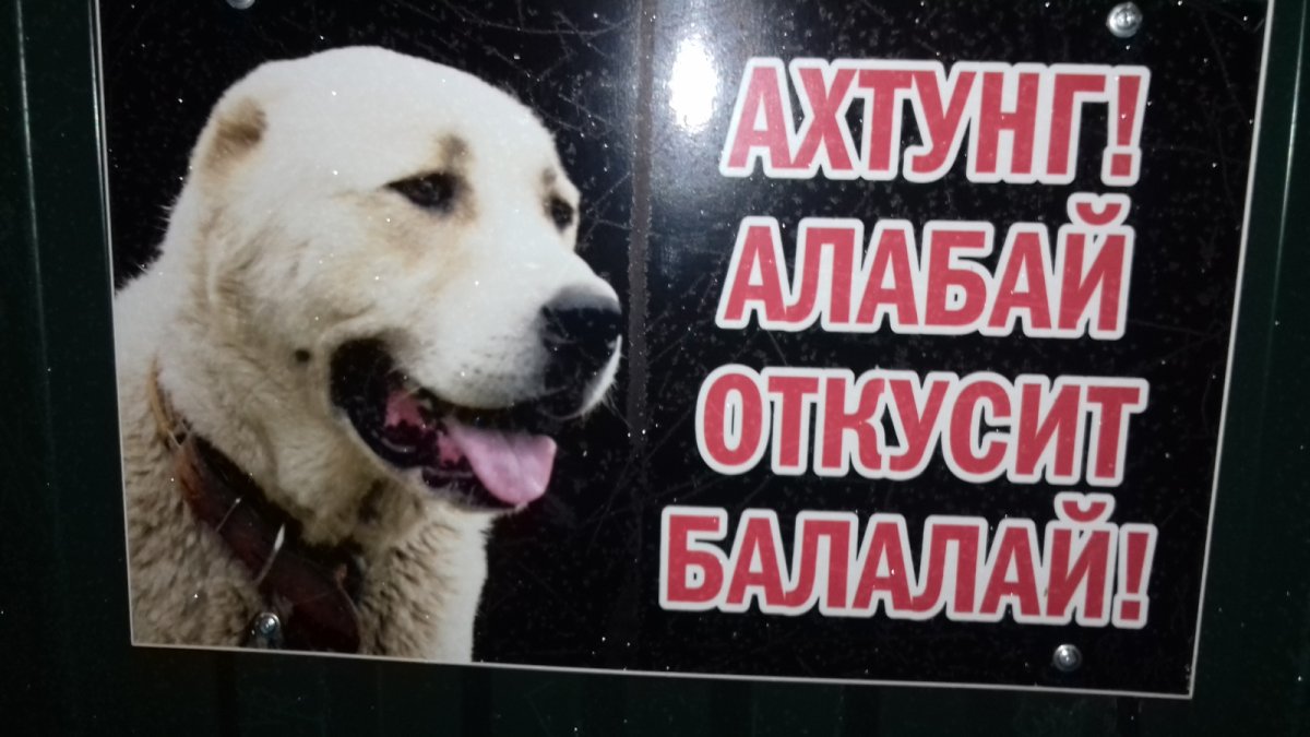 Табличка злая собака алабай
