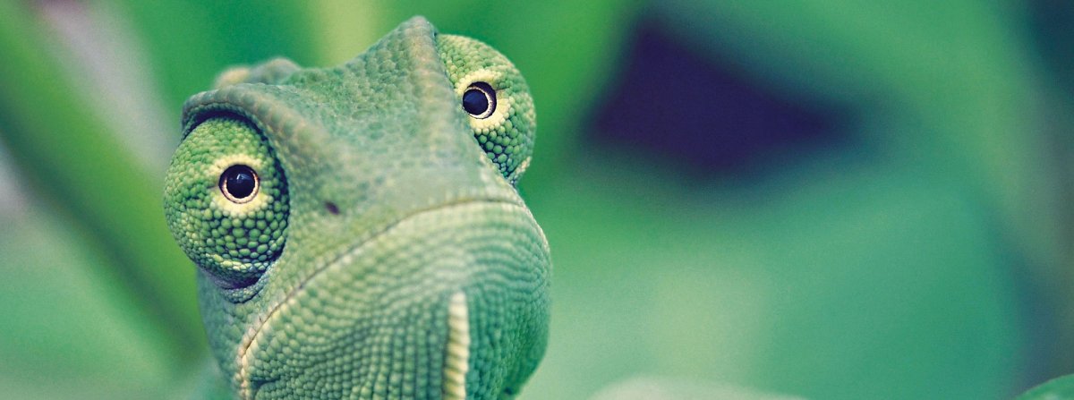 Центральная гетерохромия зрачок