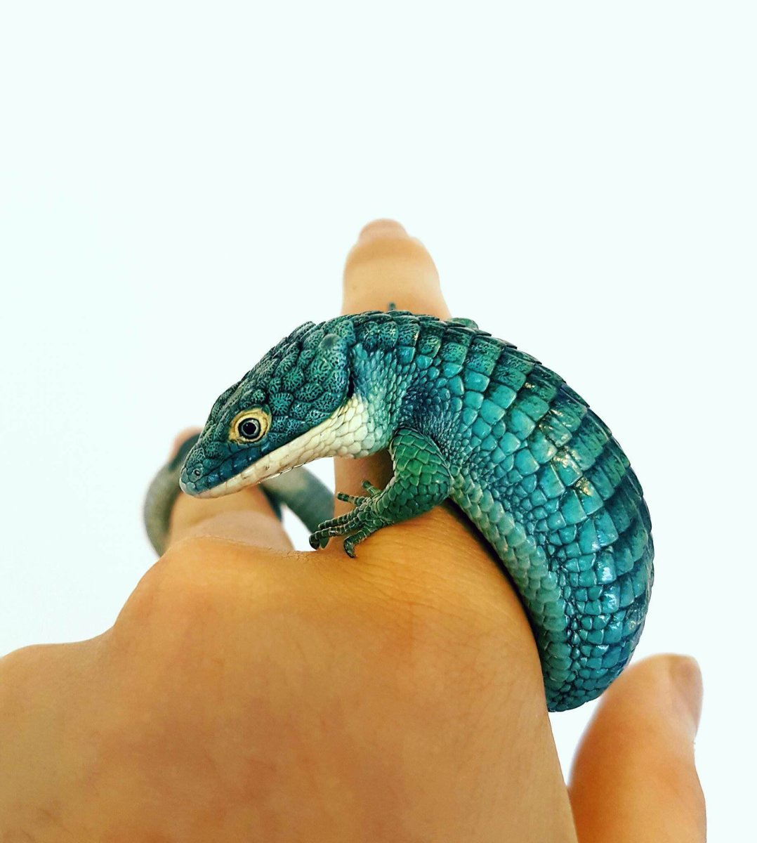 Ящерица древесная Аброния