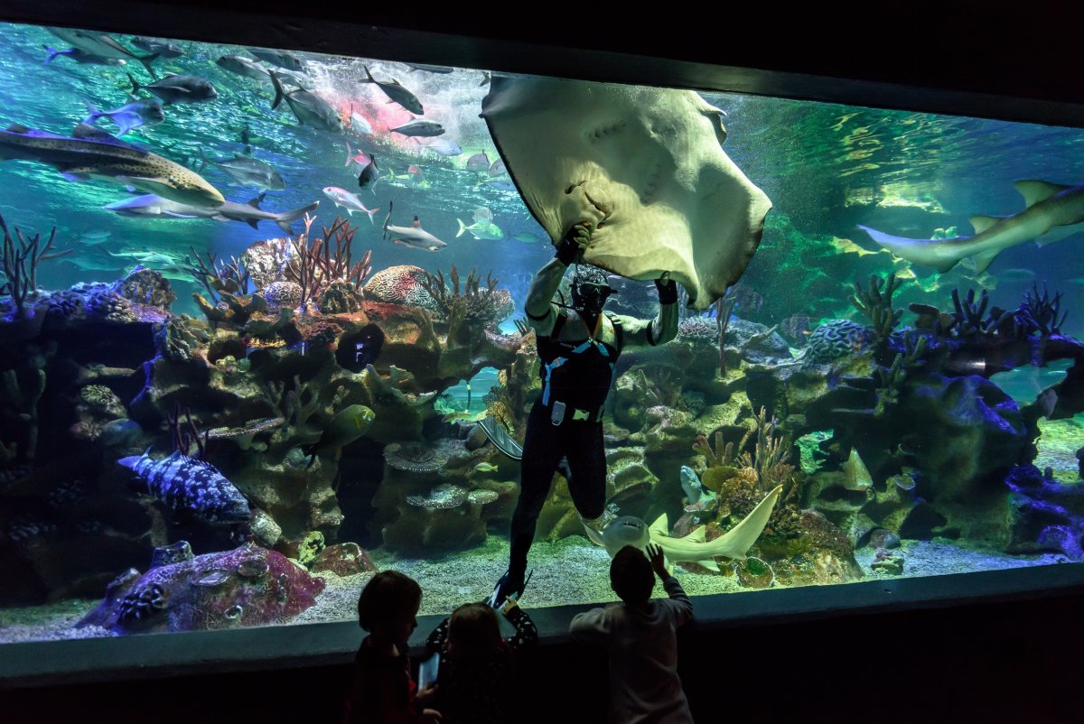 Океанариум Планета Нептун