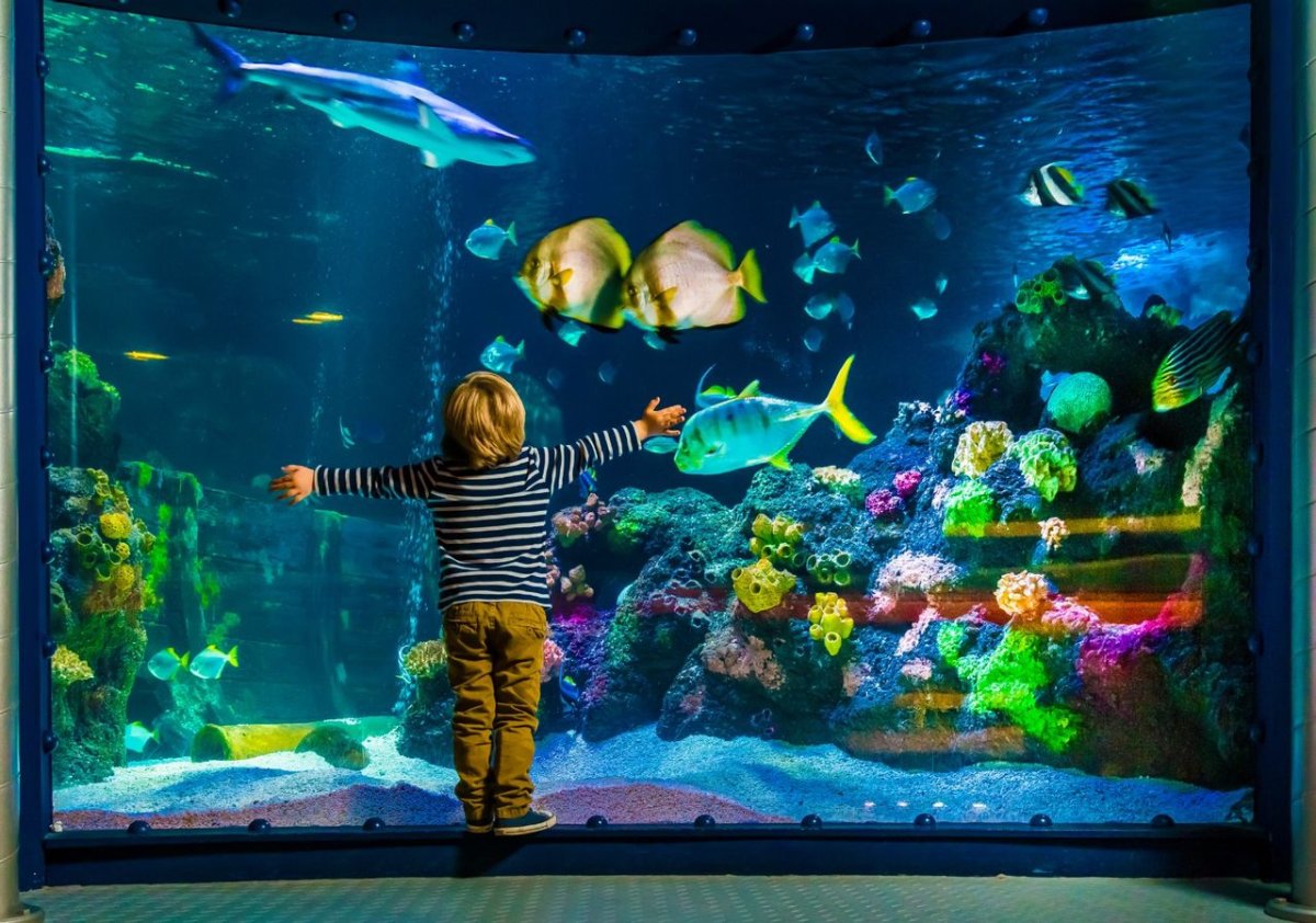 Океанариум Стамбул Sea Life