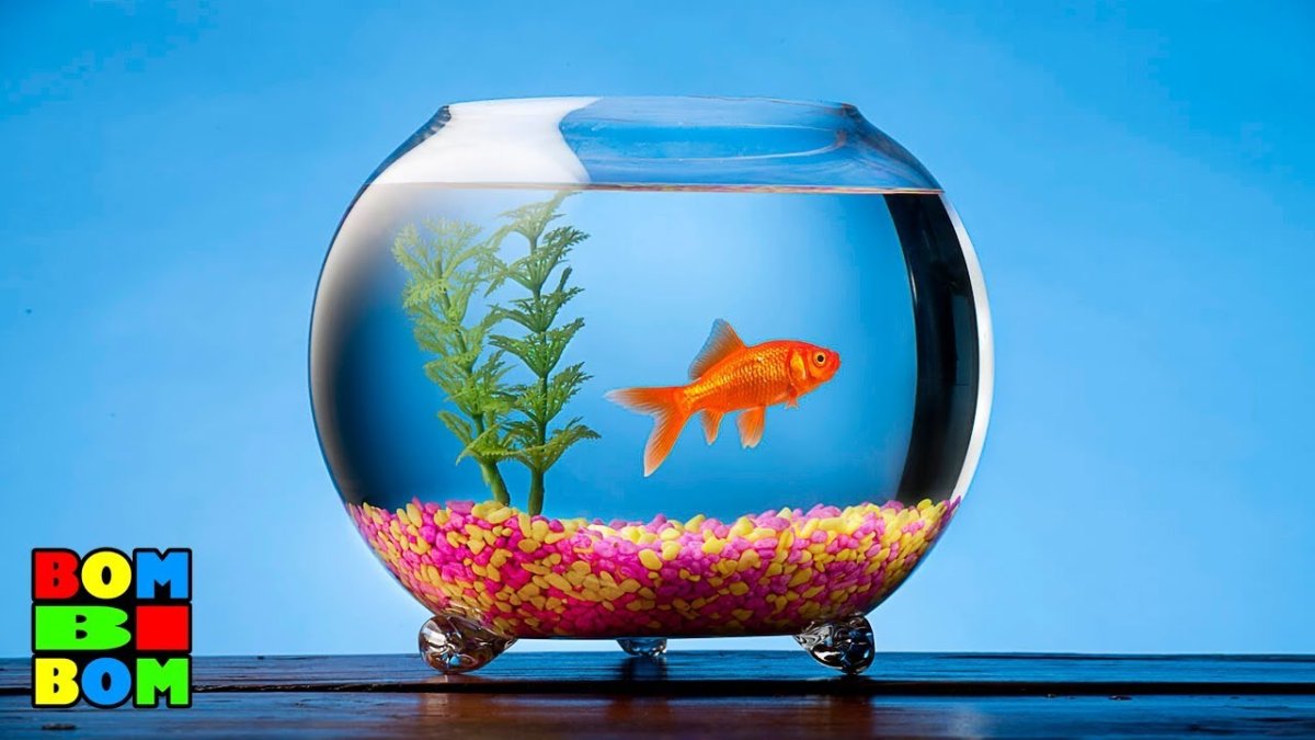 Океанариум Нурсултан