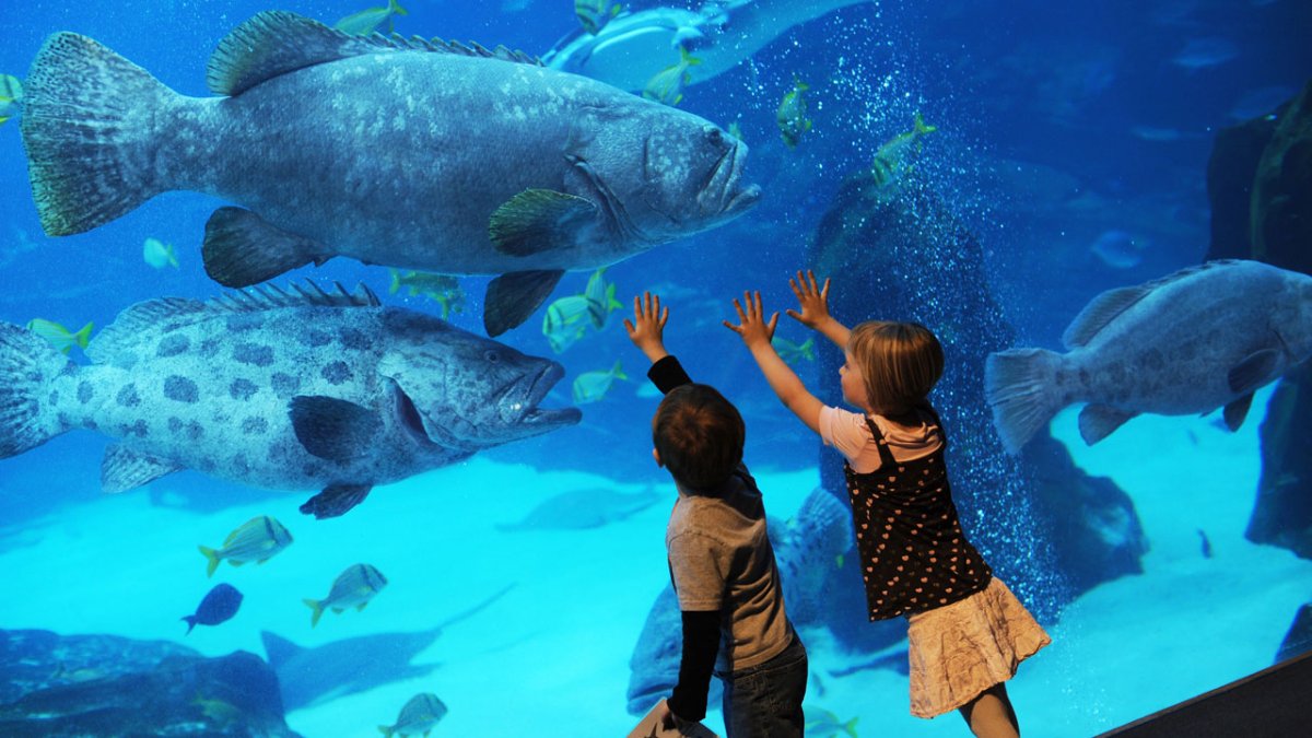 Московский зоопарк океанариум