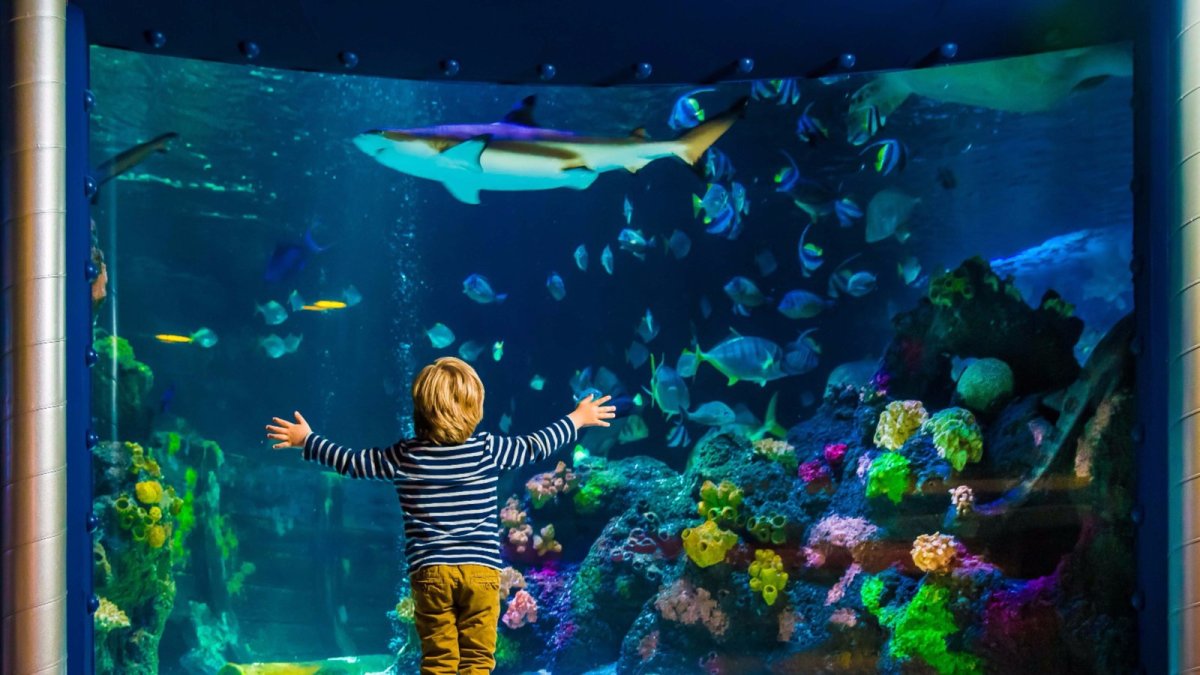 Sealife аквариум Мюнхен