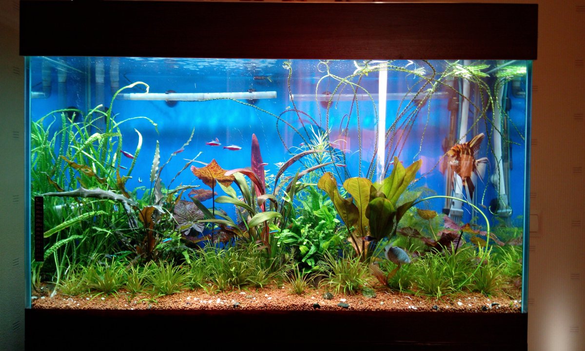 Аквариум цилиндрический 300л