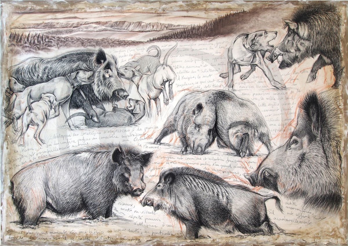 Кабан литография