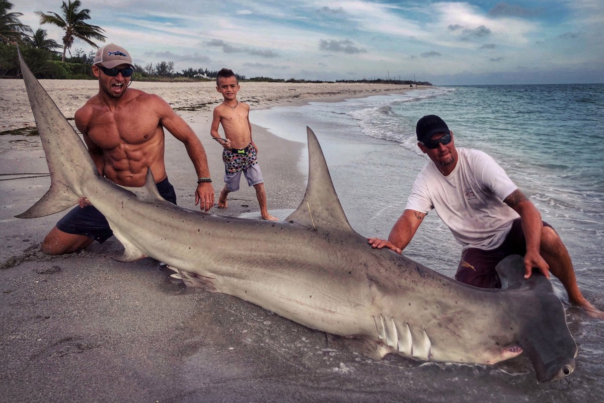 Морской черт в Баренцевом море