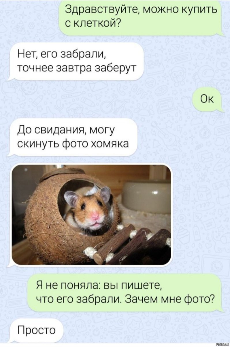 Смешные переписки в соцсетях