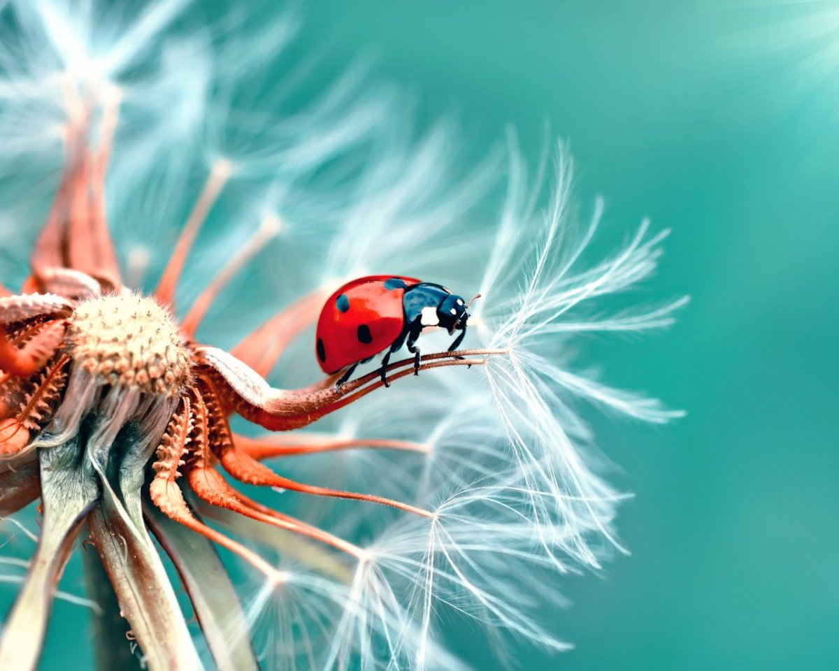 Игрушки насекомые для участка