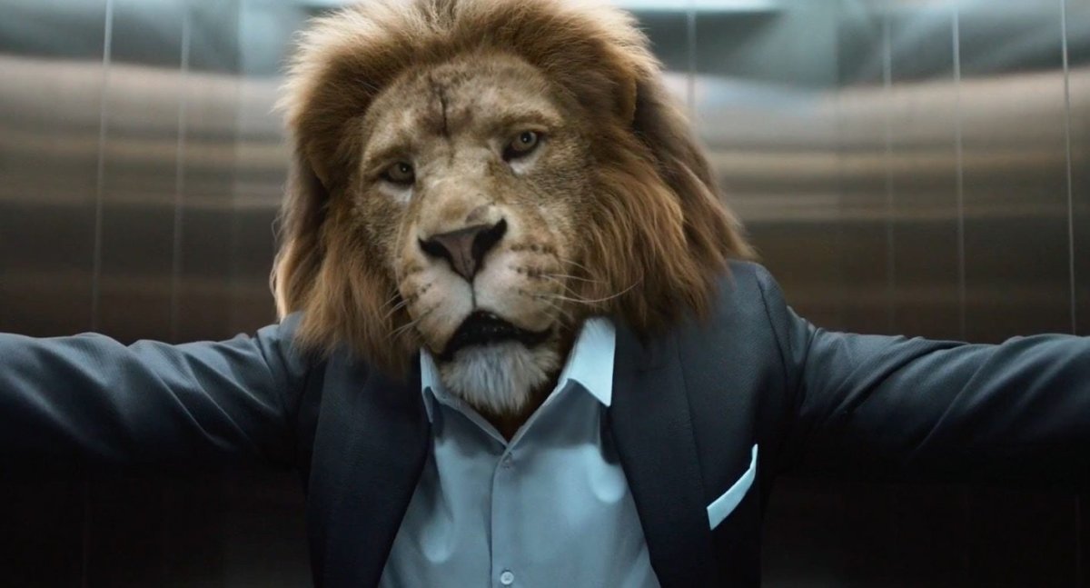 Лев в пустыне бежит