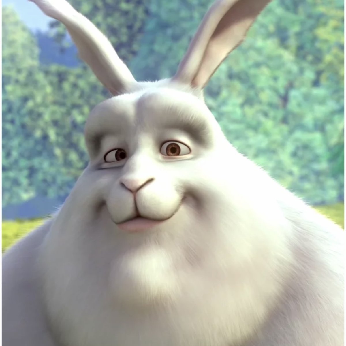 Смешные зайчики