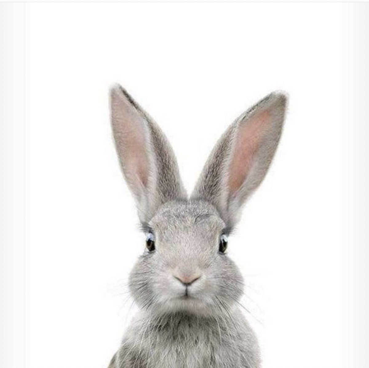 Зайчиков Дмитрий