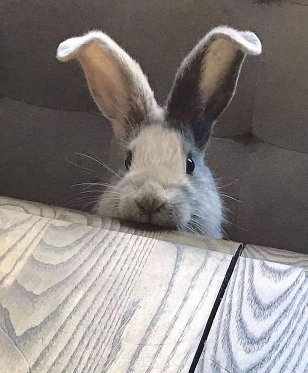 Мультяшные картинки приколы