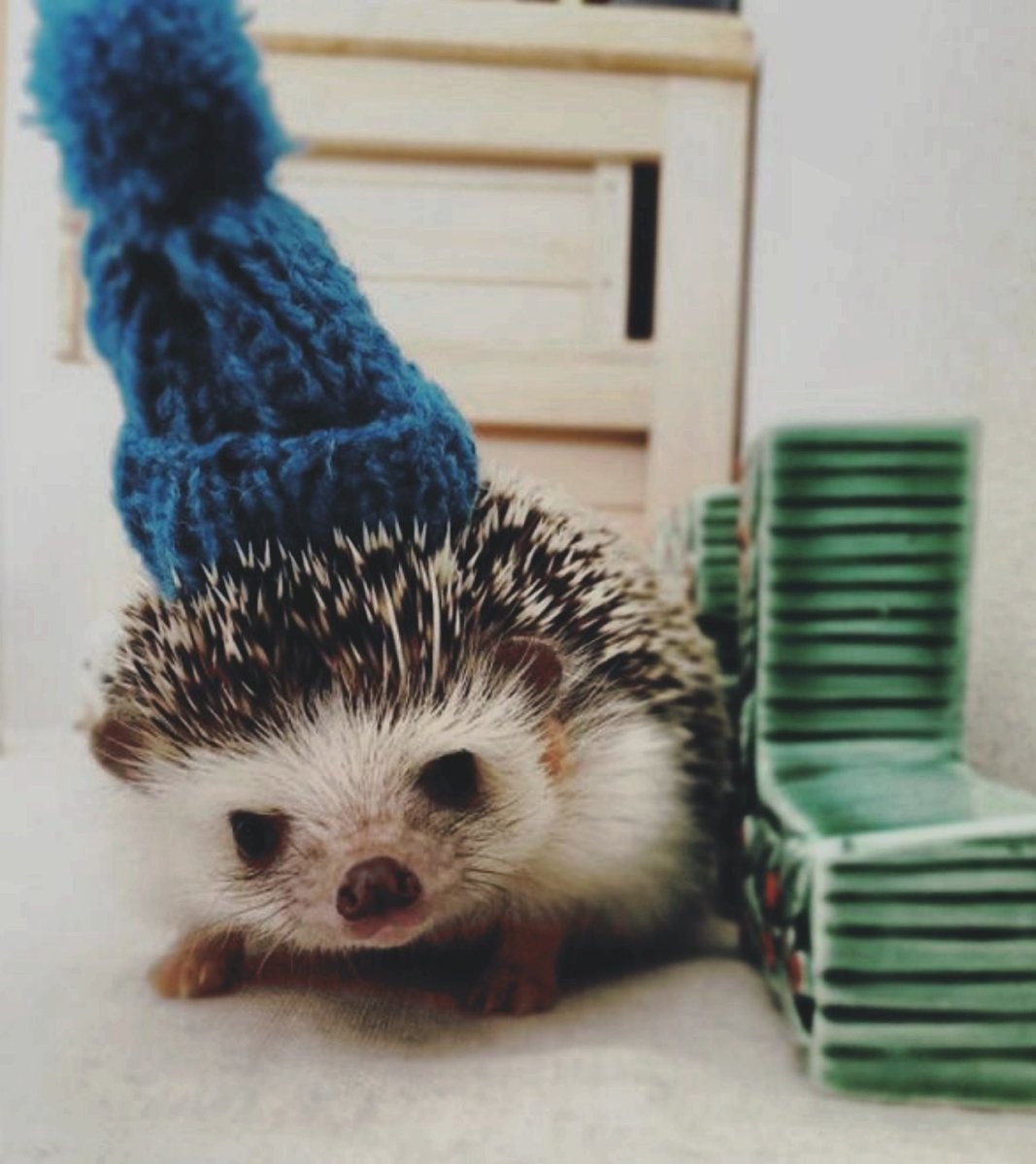 Шапка 'Ёжик'