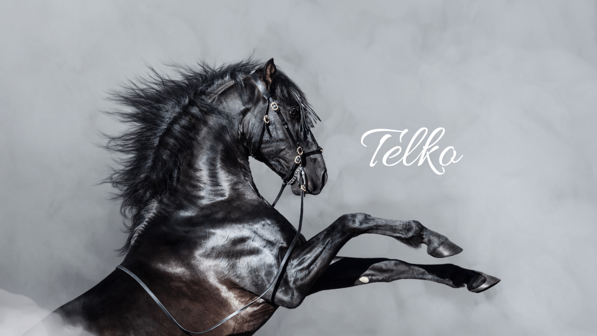 А С Красников экстерьер лошади