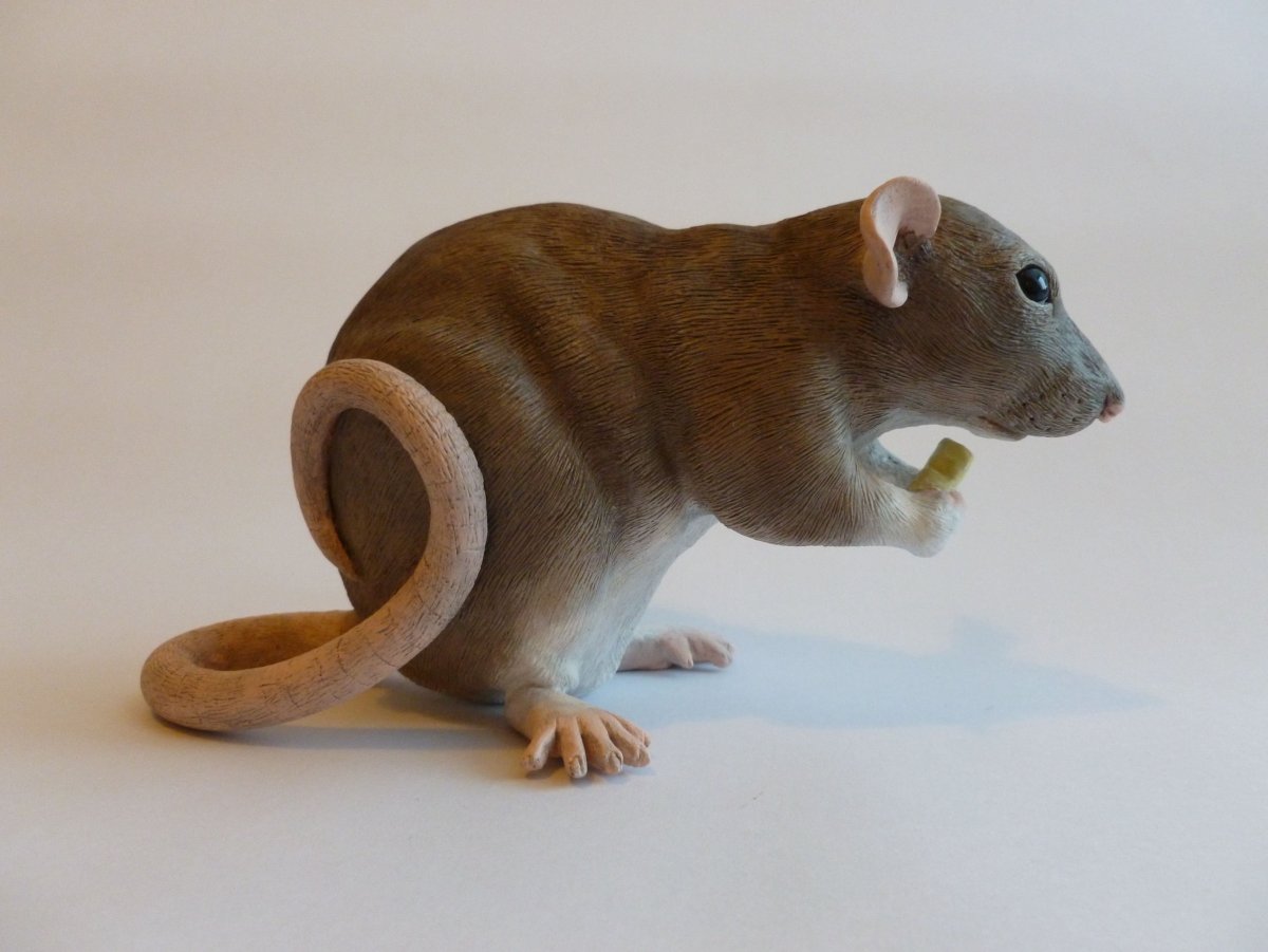 Белый Олененок