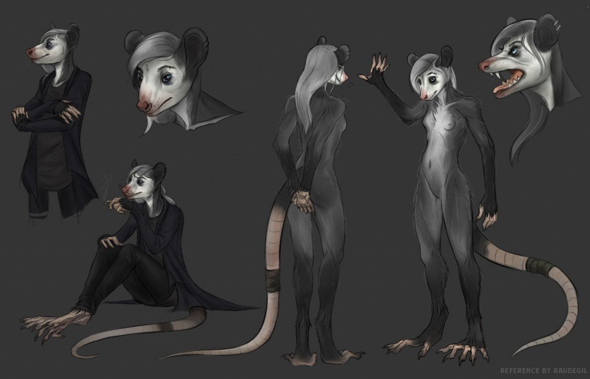 Крыса Дамбо Дабл рекс