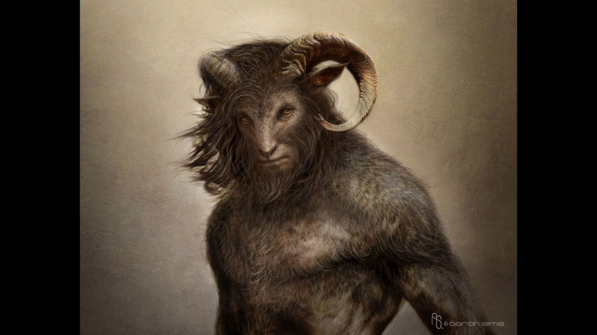 Крыса породы рекс