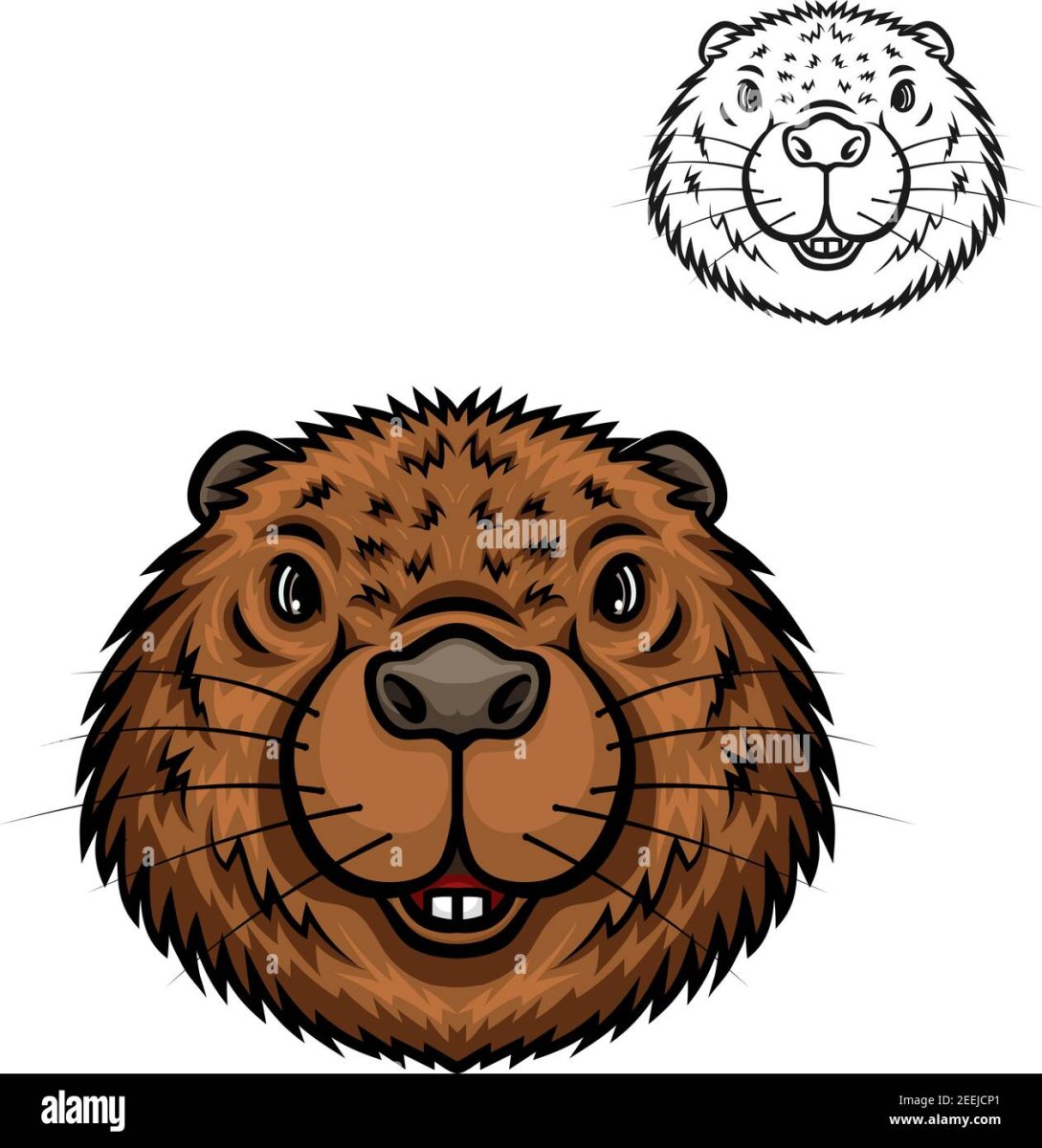 Мензбир сууру