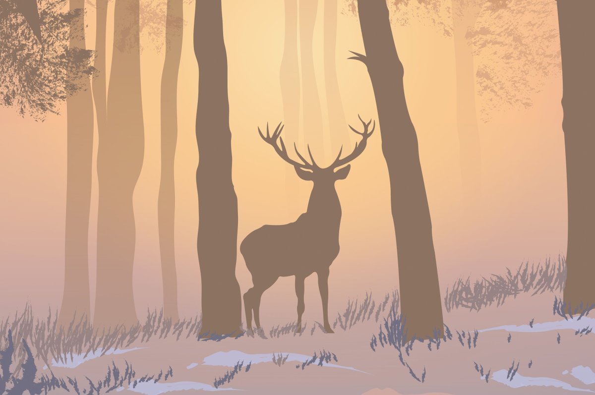 Олень в природе