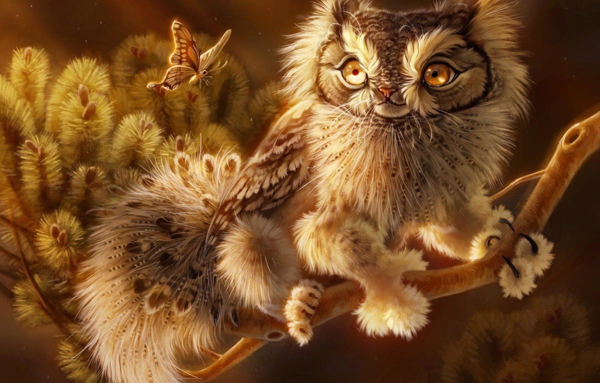 Пушистая Сова