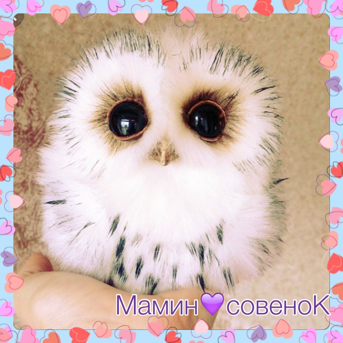 Лягушкорот птенец