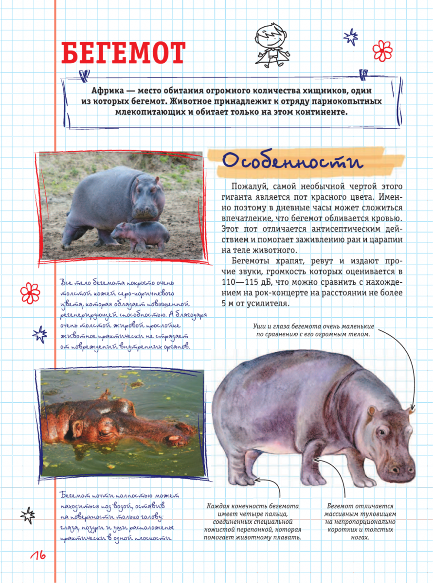 Книга для современных девочек и мальчиков о животных