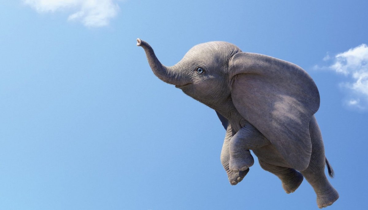 Бегемоты любовь