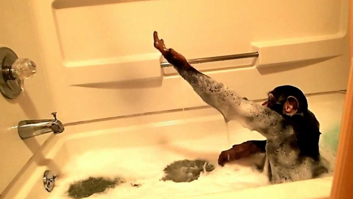 Обезьянка в ванной