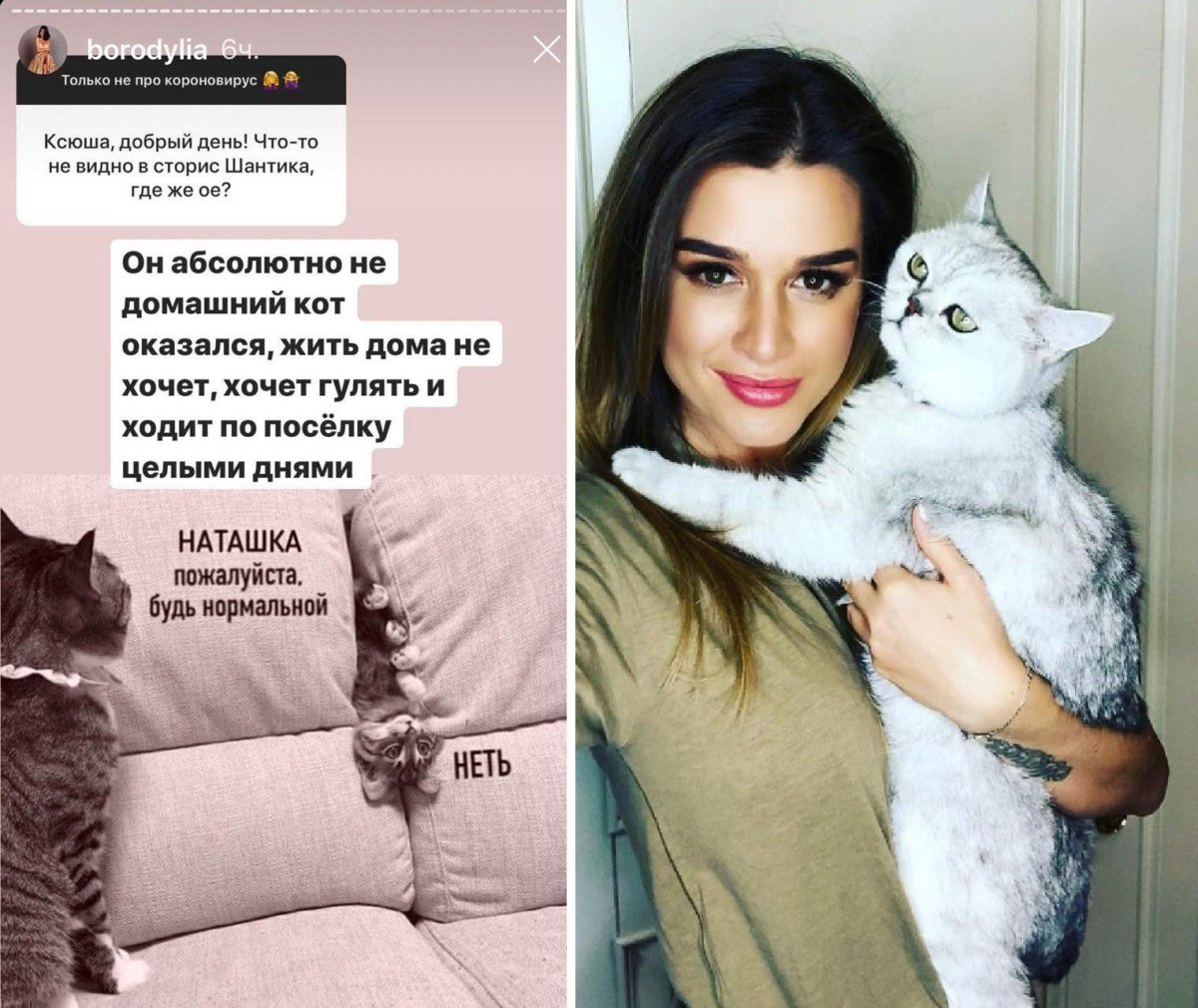 Курбан Омаров и Шантик