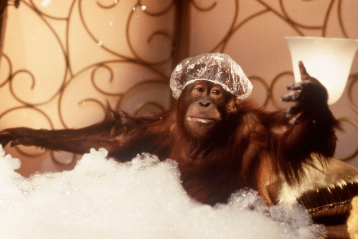 At the end of the Day