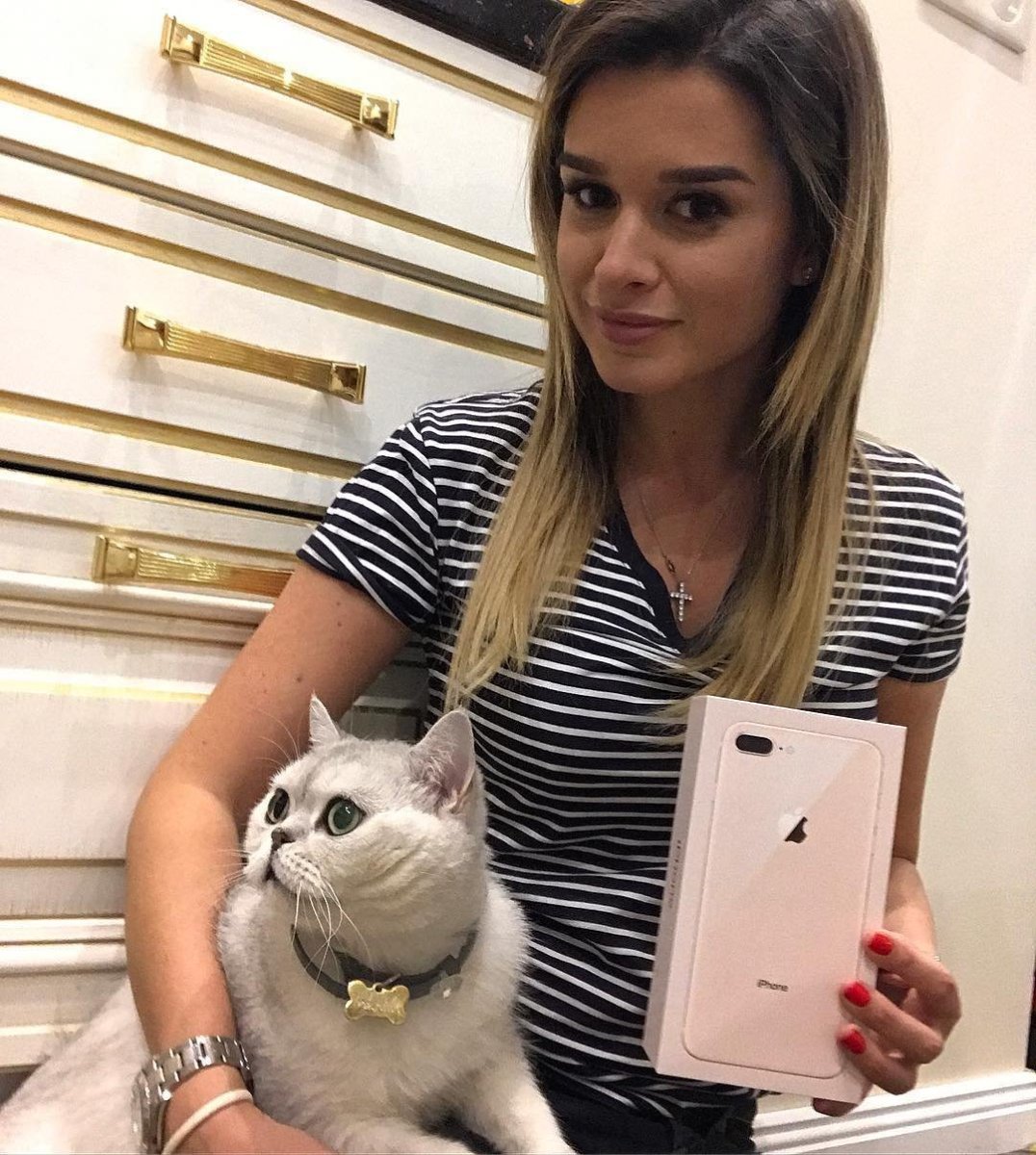 Шанти кот Бородиной порода