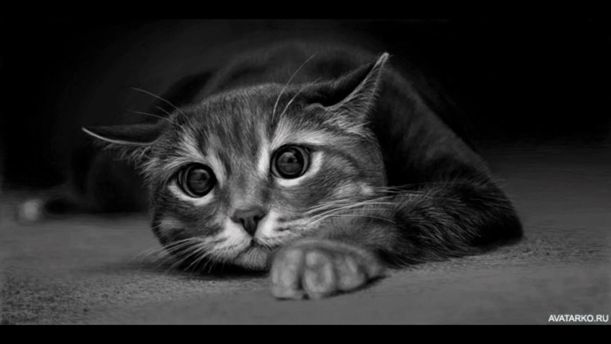 Обложка для ок на страницу