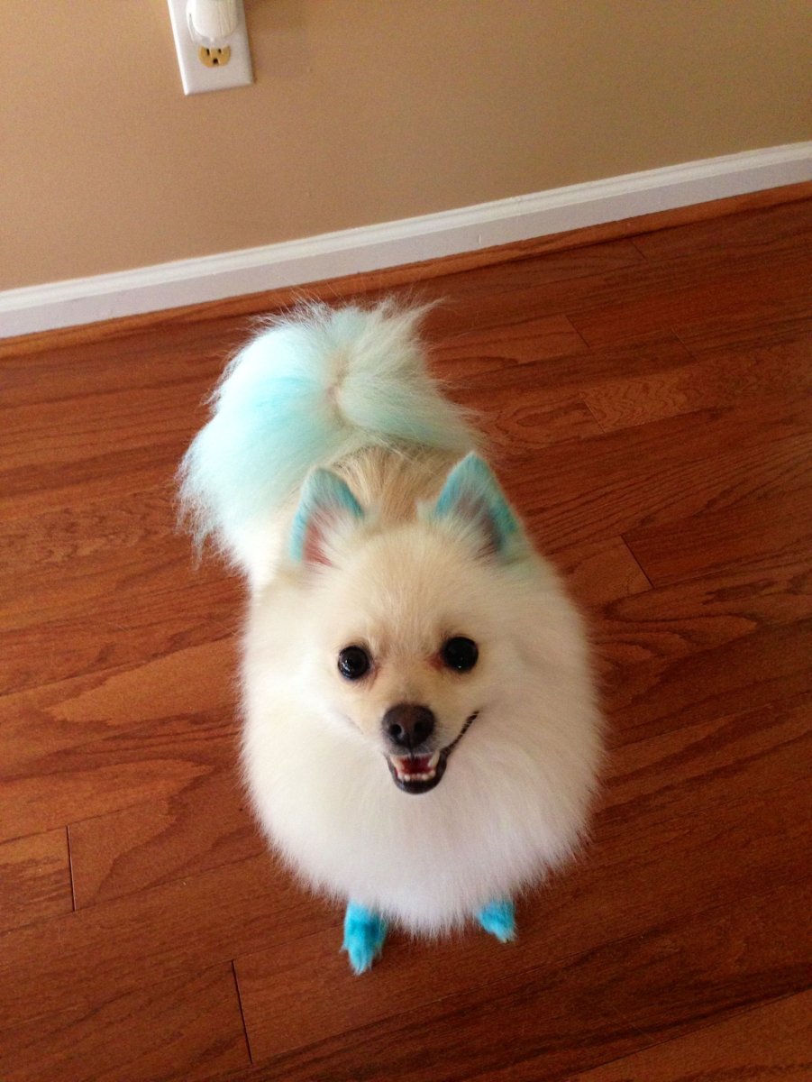 Радужные звери