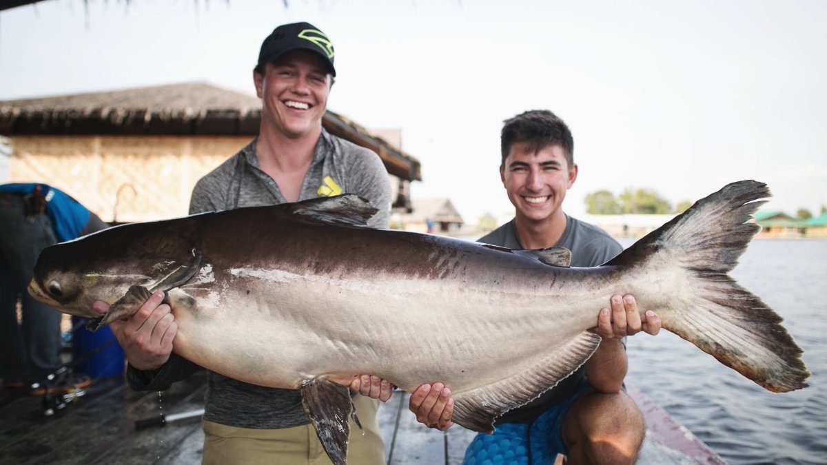 Рыбы Меконга