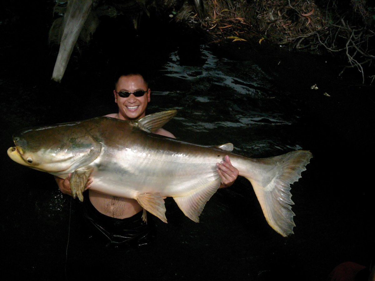 Мировой рекорд Карп 135кг