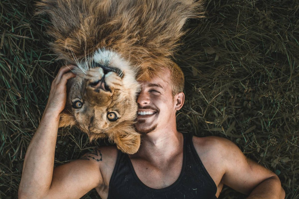 Львы в суданском зоопарке