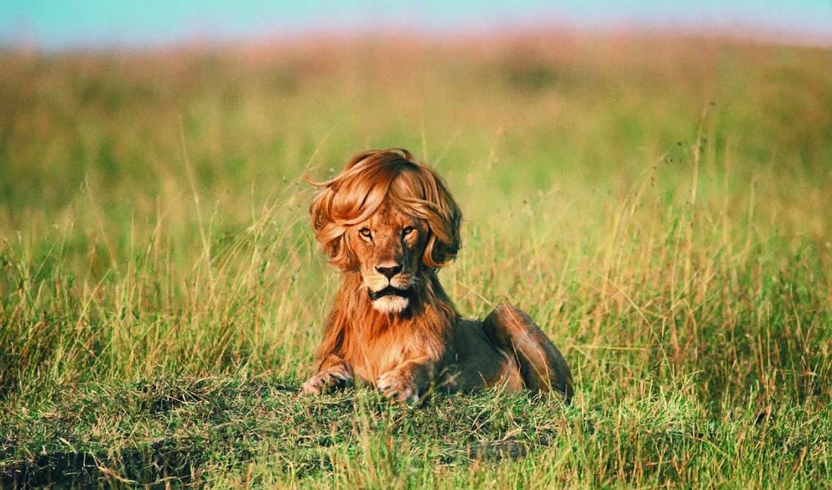 Смешной Лев