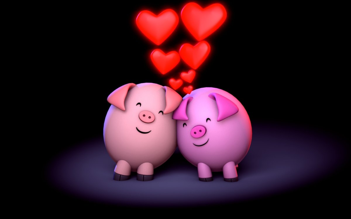 Влюбленные хрюшки