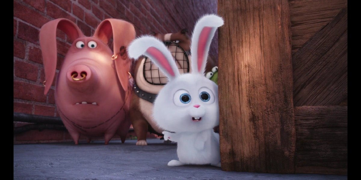 Тайная жизнь домашних животных мультфильм 2016 кролик