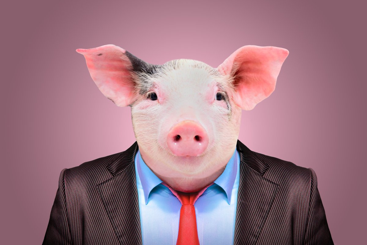 Костюм свиньи