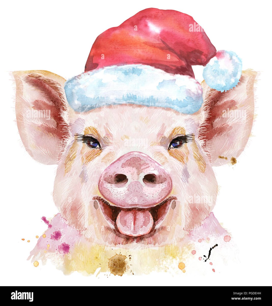 Свинка в колпаке нарисованная